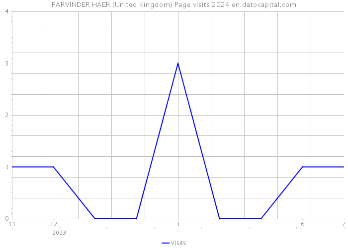 PARVINDER HAER (United Kingdom) Page visits 2024 