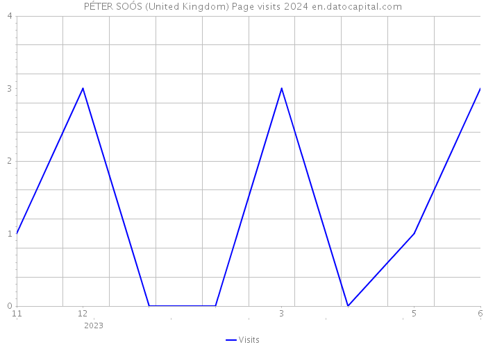 PÉTER SOÓS (United Kingdom) Page visits 2024 