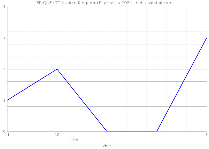 BRIQUE LTD (United Kingdom) Page visits 2024 