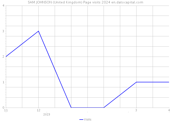 SAM JOHNSON (United Kingdom) Page visits 2024 