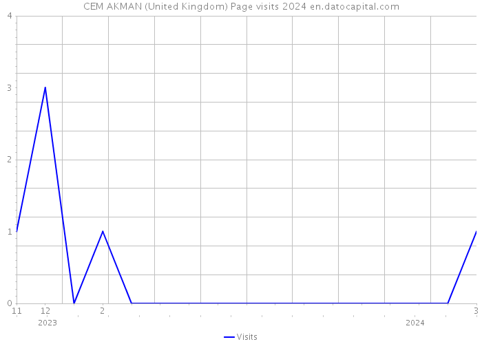CEM AKMAN (United Kingdom) Page visits 2024 