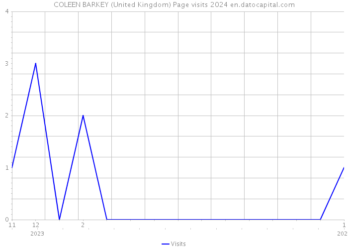 COLEEN BARKEY (United Kingdom) Page visits 2024 