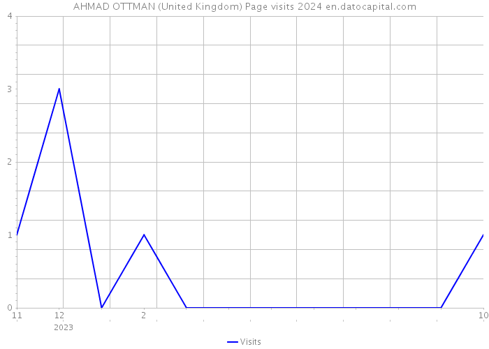 AHMAD OTTMAN (United Kingdom) Page visits 2024 