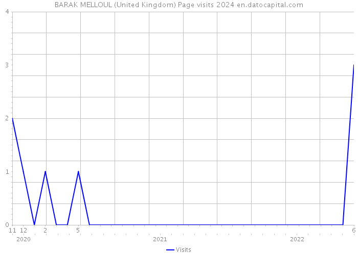 BARAK MELLOUL (United Kingdom) Page visits 2024 