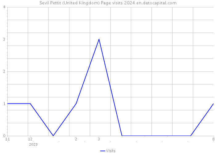 Sevil Pettit (United Kingdom) Page visits 2024 