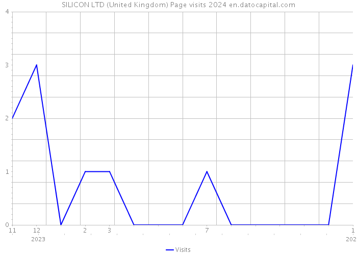 SILICON LTD (United Kingdom) Page visits 2024 