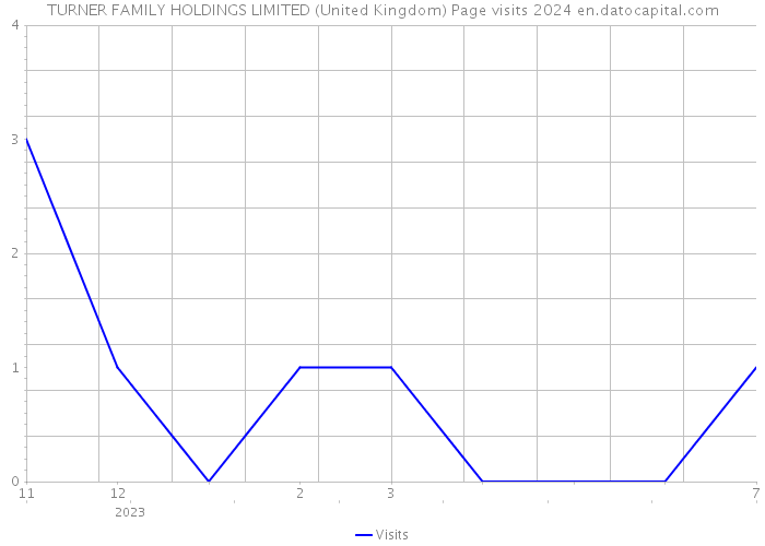 TURNER FAMILY HOLDINGS LIMITED (United Kingdom) Page visits 2024 