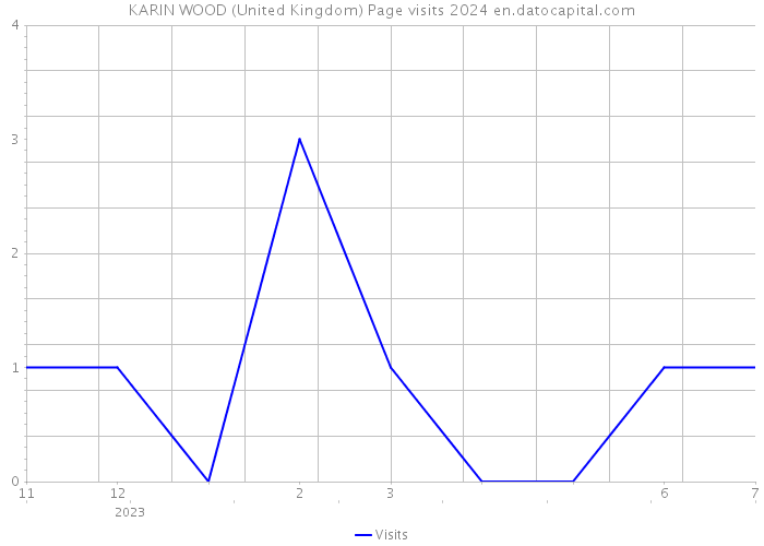 KARIN WOOD (United Kingdom) Page visits 2024 