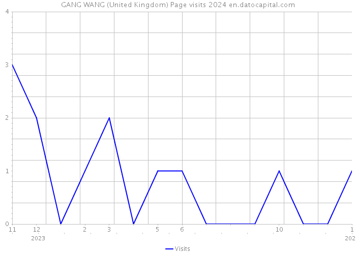 GANG WANG (United Kingdom) Page visits 2024 
