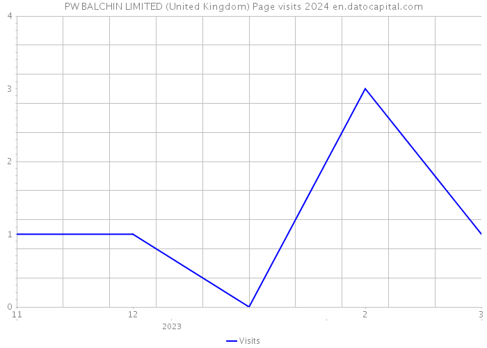 PW BALCHIN LIMITED (United Kingdom) Page visits 2024 