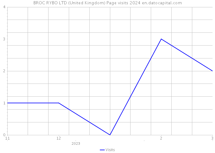 BROC RYBO LTD (United Kingdom) Page visits 2024 