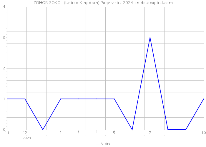 ZOHOR SOKOL (United Kingdom) Page visits 2024 