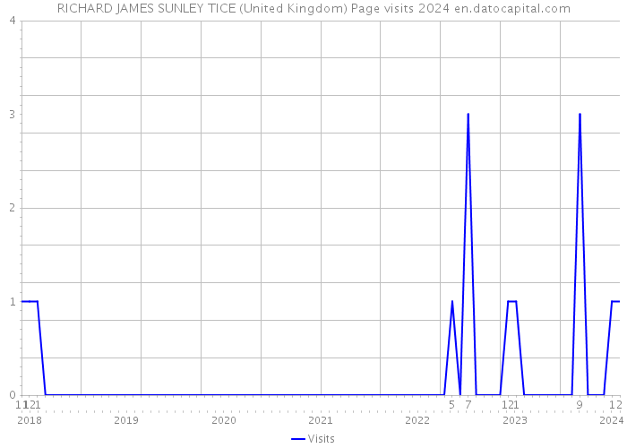 RICHARD JAMES SUNLEY TICE (United Kingdom) Page visits 2024 