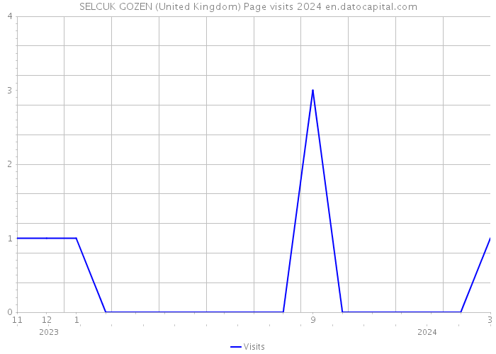 SELCUK GOZEN (United Kingdom) Page visits 2024 
