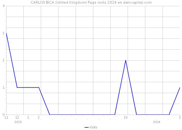 CARLOS BICA (United Kingdom) Page visits 2024 