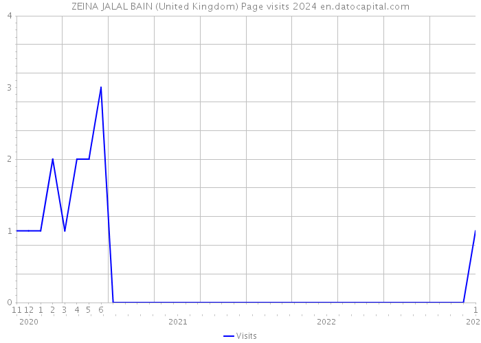 ZEINA JALAL BAIN (United Kingdom) Page visits 2024 