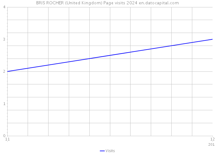 BRIS ROCHER (United Kingdom) Page visits 2024 