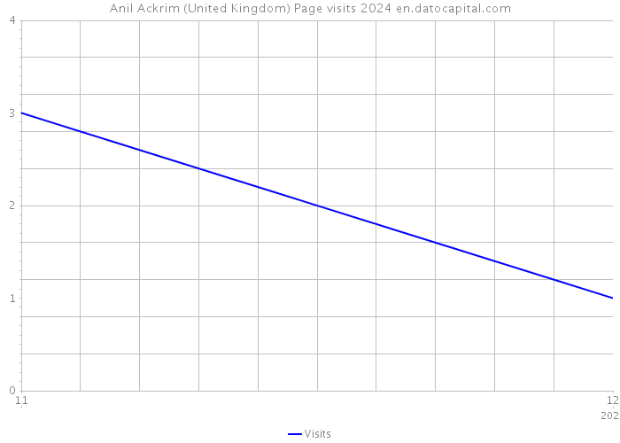 Anil Ackrim (United Kingdom) Page visits 2024 