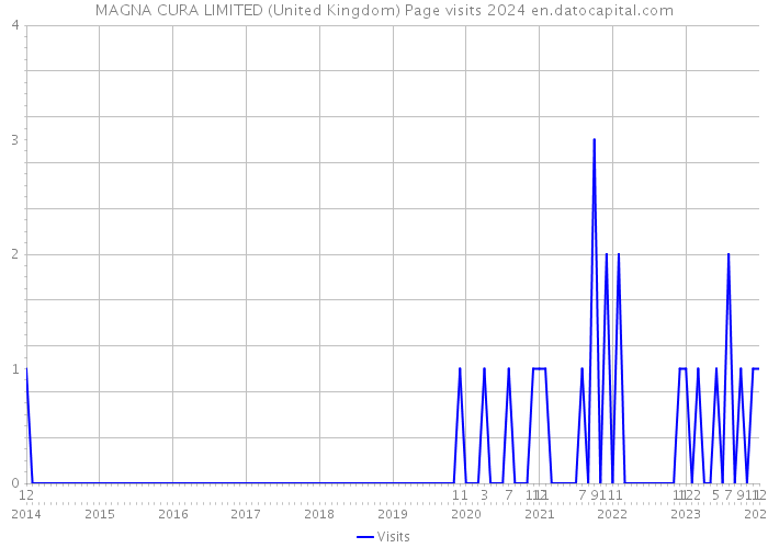 MAGNA CURA LIMITED (United Kingdom) Page visits 2024 