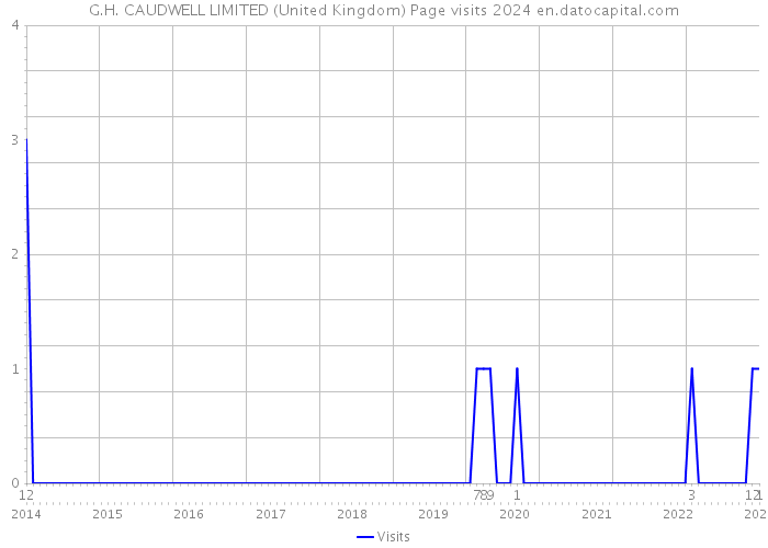 G.H. CAUDWELL LIMITED (United Kingdom) Page visits 2024 