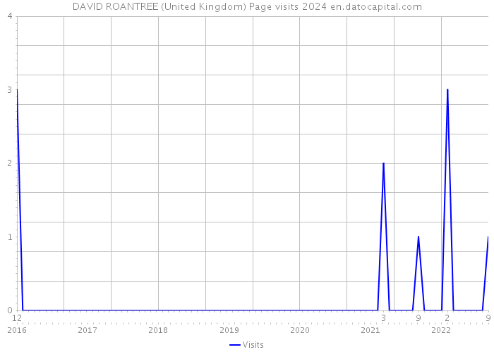 DAVID ROANTREE (United Kingdom) Page visits 2024 