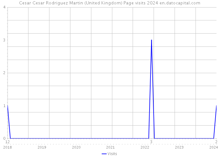 Cesar Cesar Rodriguez Martin (United Kingdom) Page visits 2024 