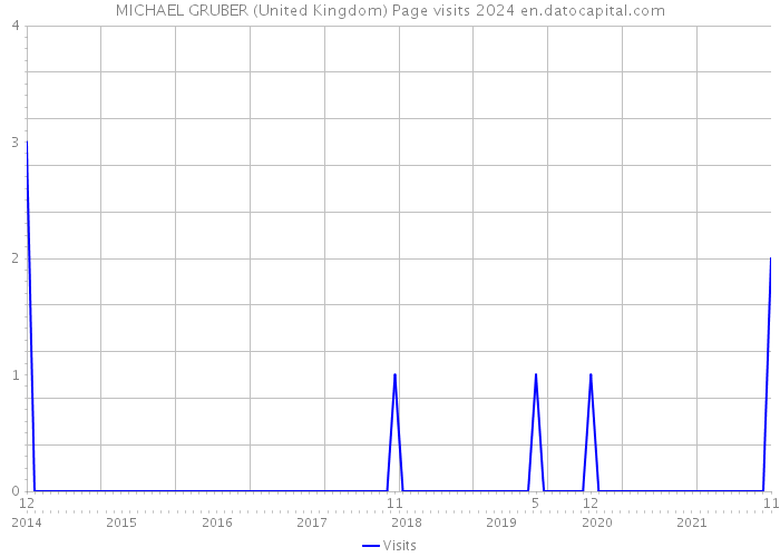 MICHAEL GRUBER (United Kingdom) Page visits 2024 