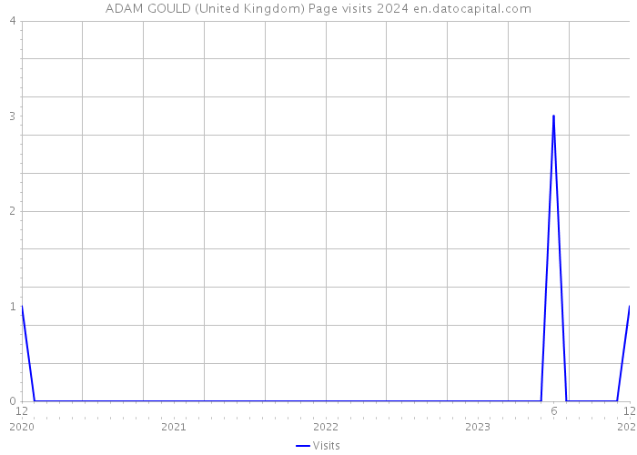 ADAM GOULD (United Kingdom) Page visits 2024 