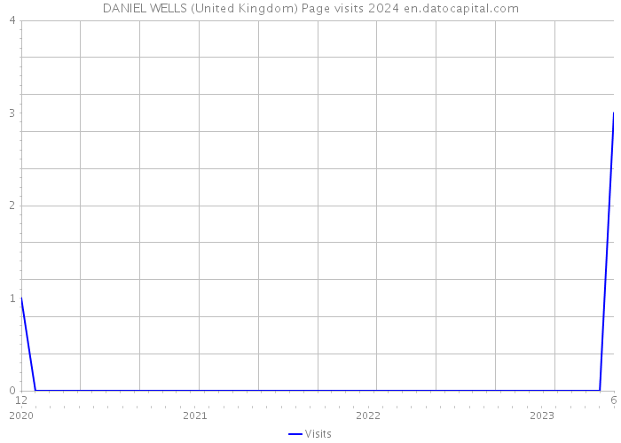 DANIEL WELLS (United Kingdom) Page visits 2024 