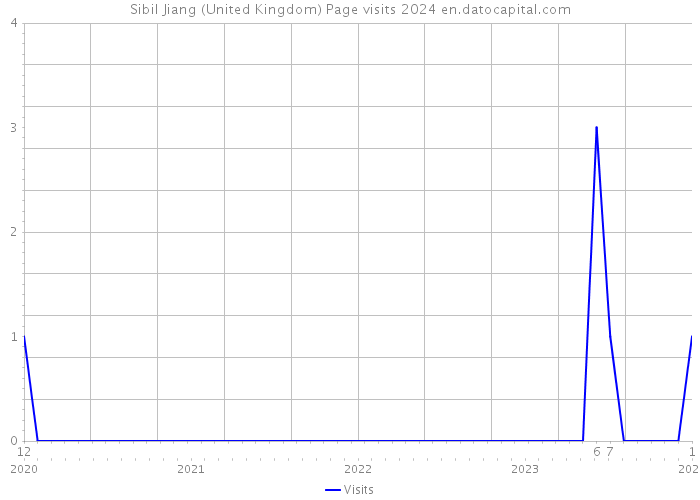 Sibil Jiang (United Kingdom) Page visits 2024 