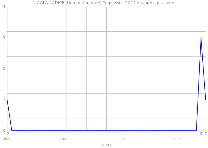 NICOLA RADICE (United Kingdom) Page visits 2024 