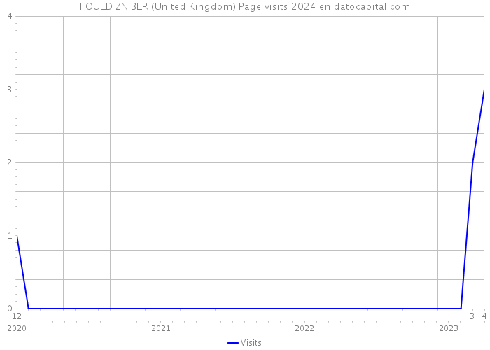 FOUED ZNIBER (United Kingdom) Page visits 2024 