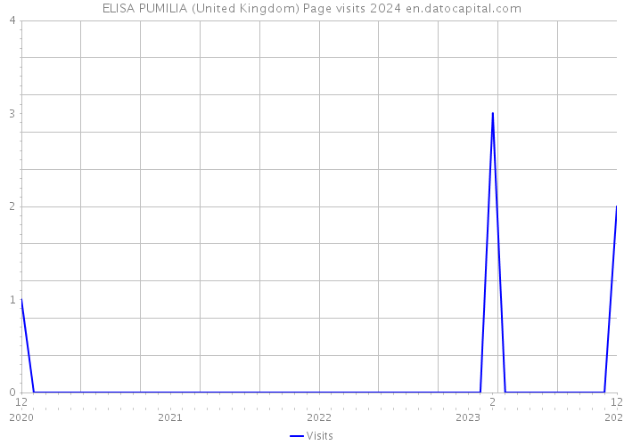 ELISA PUMILIA (United Kingdom) Page visits 2024 