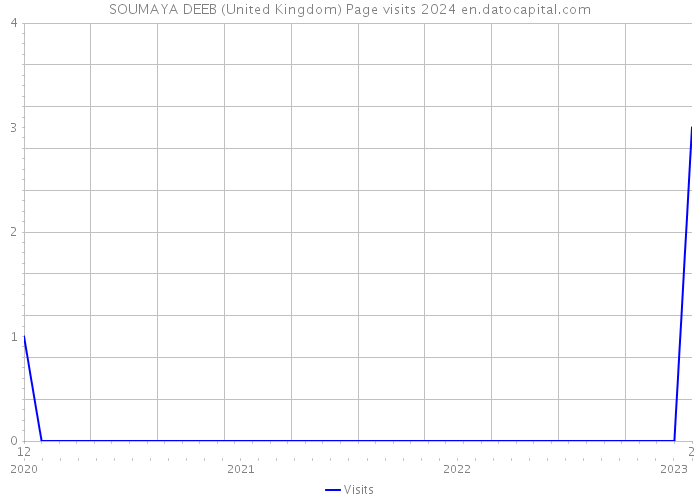 SOUMAYA DEEB (United Kingdom) Page visits 2024 