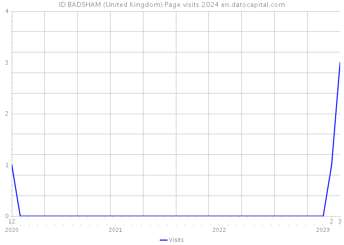 ID BADSHAM (United Kingdom) Page visits 2024 