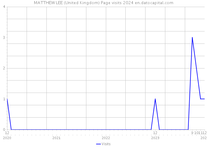 MATTHEW LEE (United Kingdom) Page visits 2024 