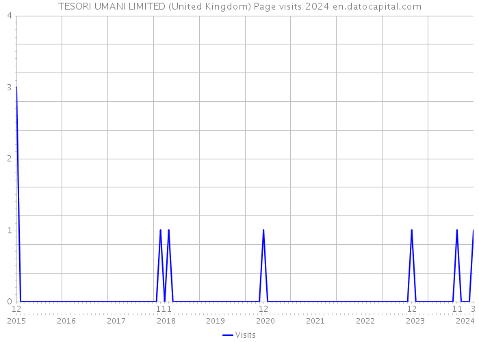 TESORI UMANI LIMITED (United Kingdom) Page visits 2024 