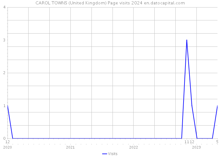 CAROL TOWNS (United Kingdom) Page visits 2024 