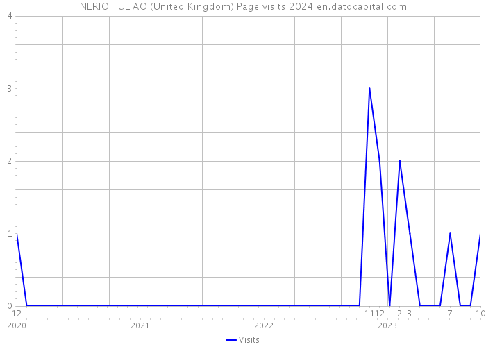 NERIO TULIAO (United Kingdom) Page visits 2024 