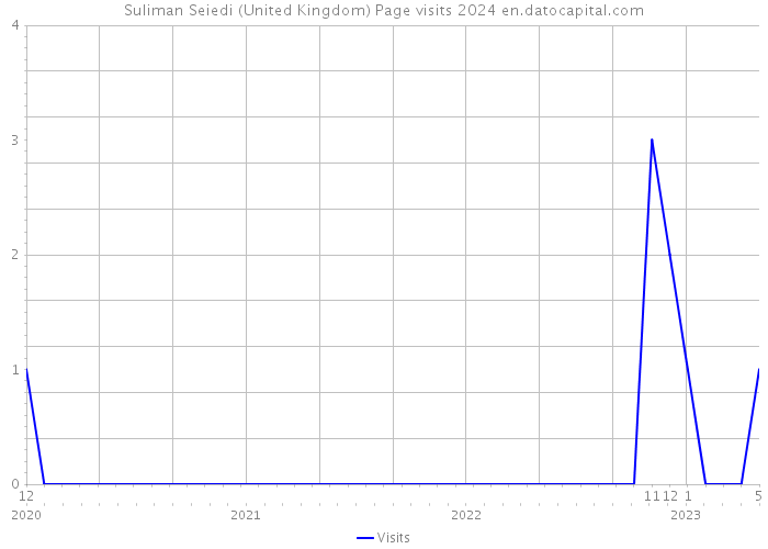 Suliman Seiedi (United Kingdom) Page visits 2024 