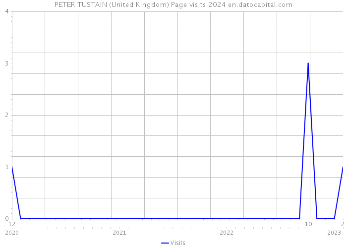 PETER TUSTAIN (United Kingdom) Page visits 2024 