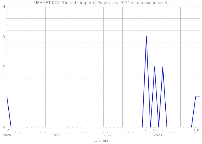 MEHMET KOC (United Kingdom) Page visits 2024 
