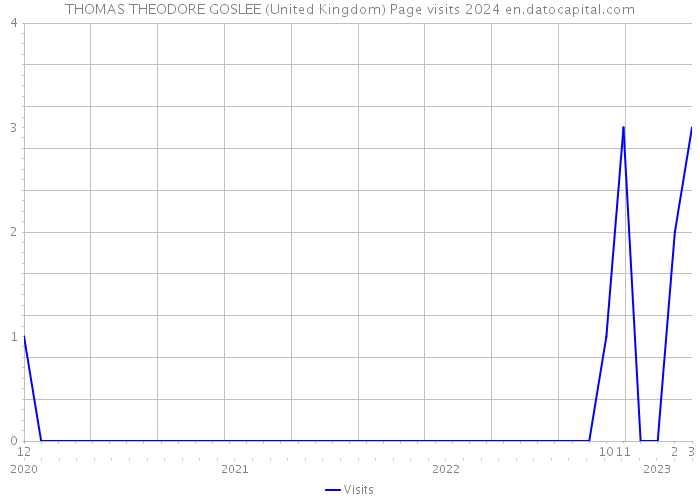 THOMAS THEODORE GOSLEE (United Kingdom) Page visits 2024 