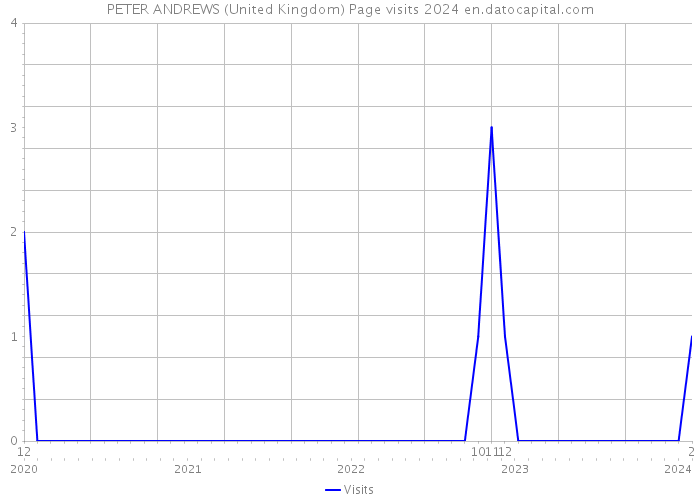 PETER ANDREWS (United Kingdom) Page visits 2024 