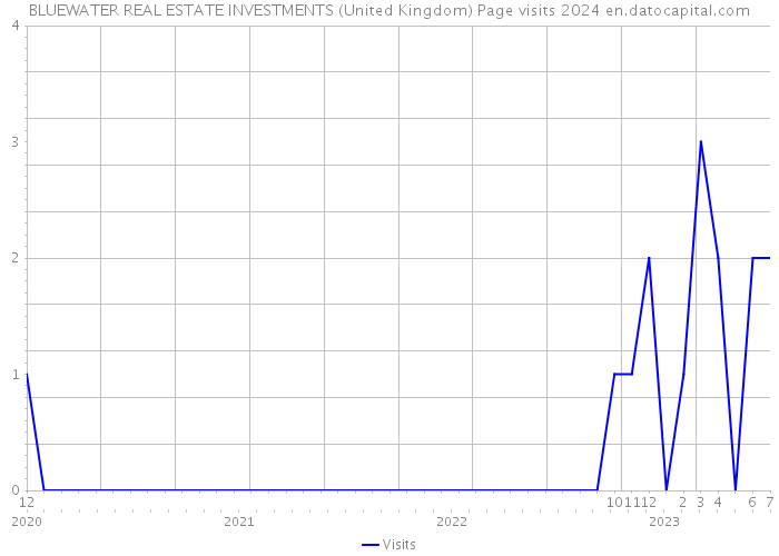 BLUEWATER REAL ESTATE INVESTMENTS (United Kingdom) Page visits 2024 