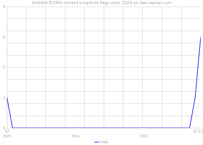 JOANNA EVORA (United Kingdom) Page visits 2024 