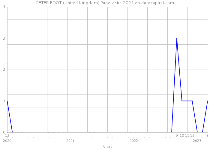 PETER BOOT (United Kingdom) Page visits 2024 