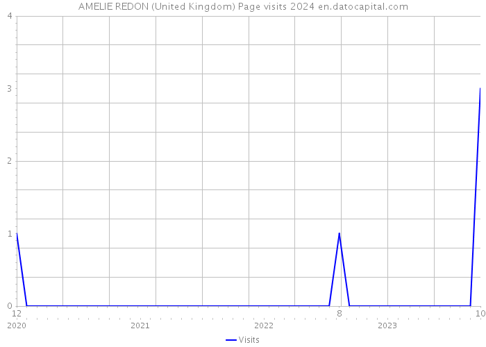AMELIE REDON (United Kingdom) Page visits 2024 