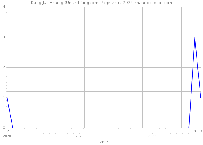 Kung Jui-Hsiang (United Kingdom) Page visits 2024 