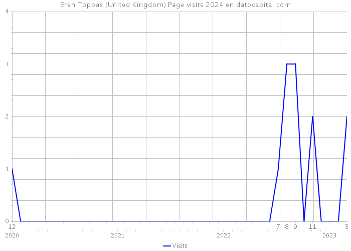 Eren Topbas (United Kingdom) Page visits 2024 